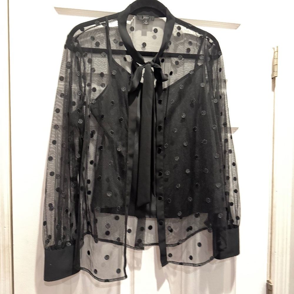 Jcrew sheer polkadot Tie neck shirt